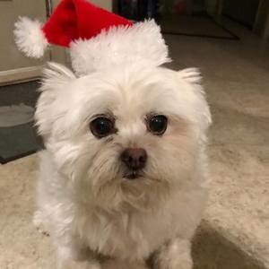 Meet your Posher, Joanne